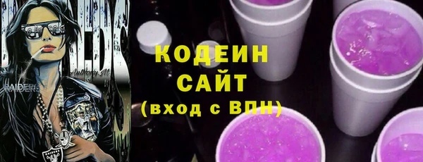 индика Касимов