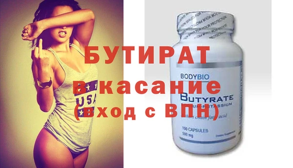 сатива Каменка