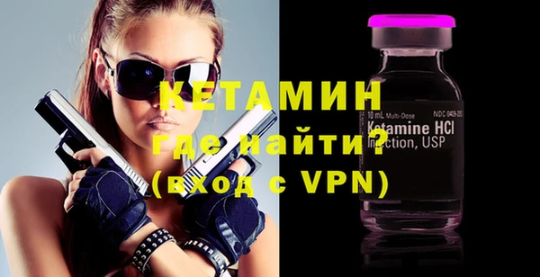 сатива Каменка