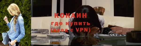 индика Касимов