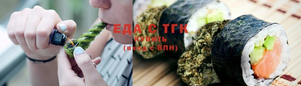 индика Касимов