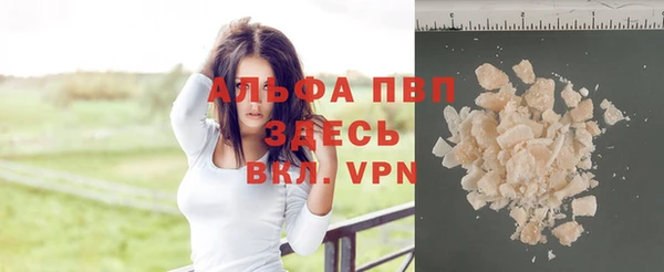 сатива Каменка