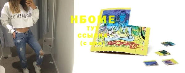 индика Касимов