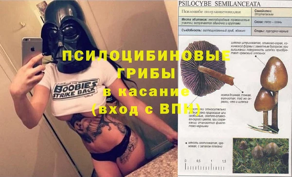 индика Касимов