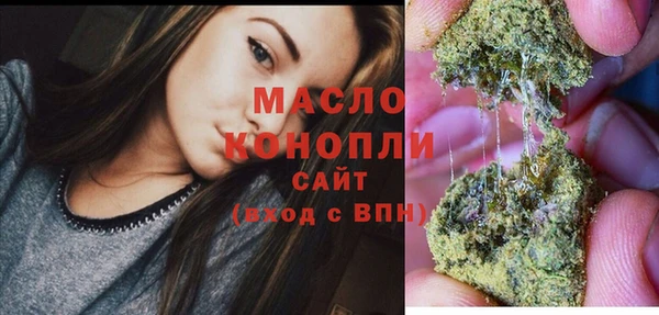 сатива Каменка