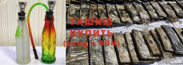 сатива Каменка