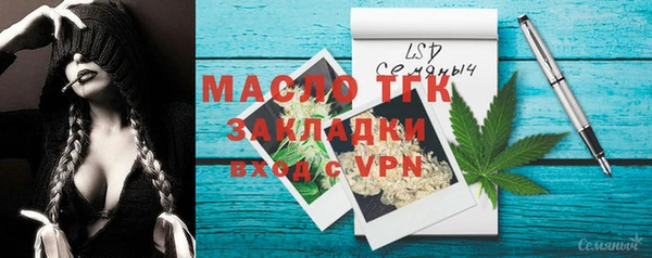 шишки Карпинск