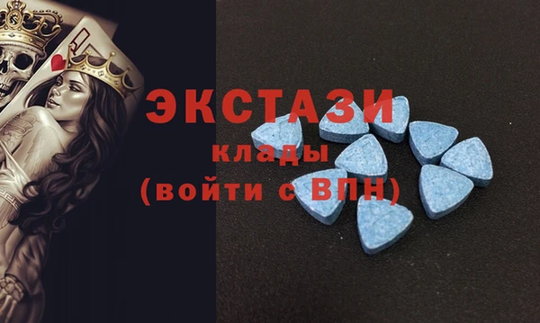 индика Касимов