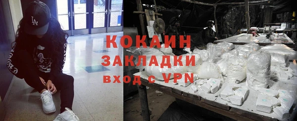 шишки Карпинск