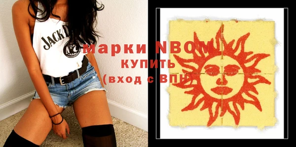 индика Касимов