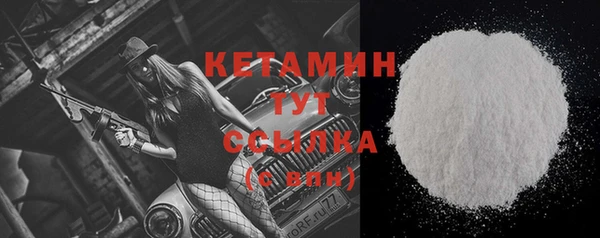 сатива Каменка