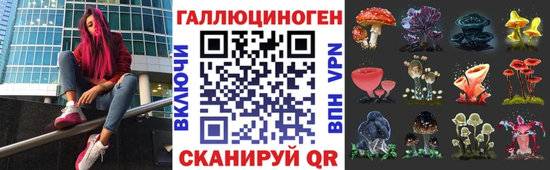 Галлюциногенные грибы Psilocybe  Купить закладки  Боготол 