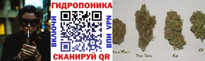 Шишки марихуана VHQ  Купить закладки  Боготол 